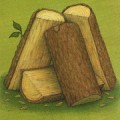 HOUT.jpg