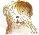 mop mop.jpg