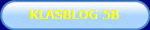 KLASBLOG 5B